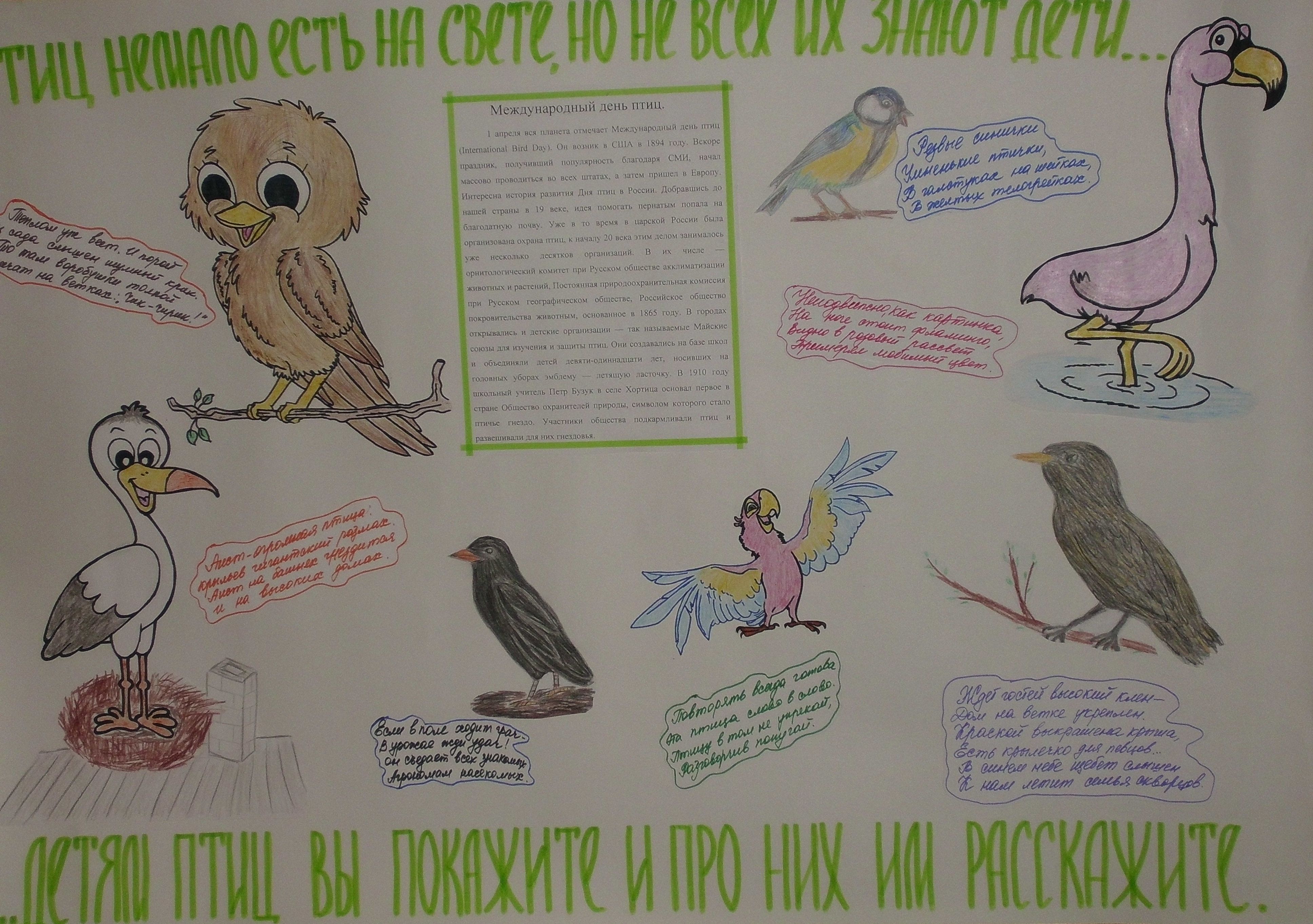 Плакат Международный день птиц в ДОУ