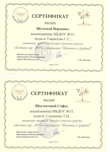 Сертификат Зеленый мир